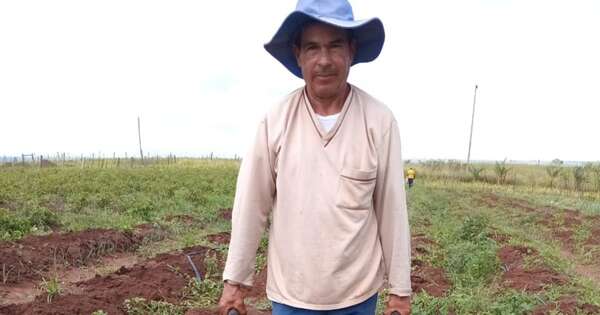 La Nación / Productores lograron cosechar 2,6 toneladas de papas en Amambay