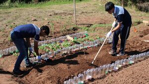 Alumnos crean huertas y hasta sistemas de iluminación solar