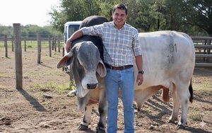 Federico Krauer: “El ternero es el motor de la ganadería”