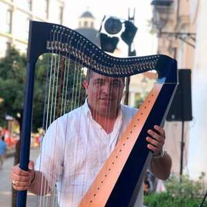 Festival Mundial del Arpa sigue hoy en el Teatro Municipal con charlas y conciertos - Música - ABC Color