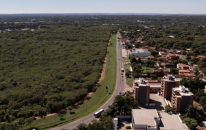 Desde hoy anuncian desvíos en la avenida General Elizardo Aquino por trabajos viales