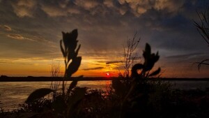 El calor se hará sentir este sábado con temperaturas de casi 40°C, según Meteorología