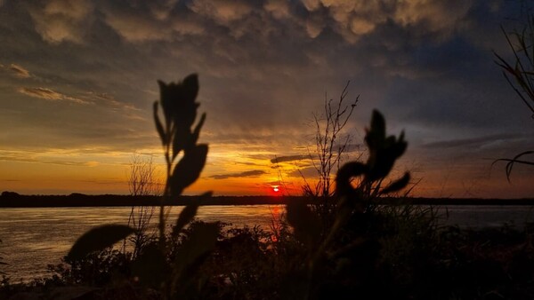 El calor se hará sentir este sábado con temperaturas de casi 40°C, según Meteorología