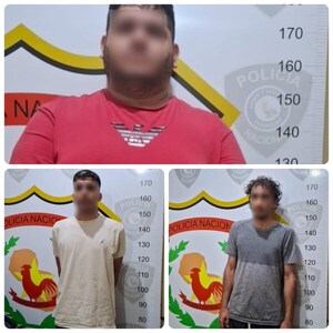 Detienen a integrantes de banda de tortoleros que operaba en Paraguay y Brasil