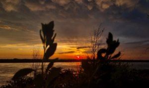 Sábado con intenso calor y posibles chaparrones, advierte Meteorología