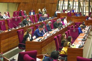 Diputados intervención Municipalidad de Juan León Mallorquín