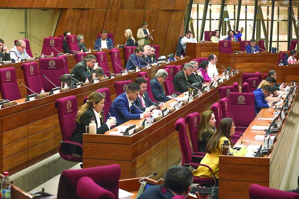 Diputados intervención Municipalidad de Juan León Mallorquín