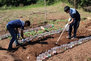 Escuelas salesianas impulsan transformación ambiental con proyectos prácticos y alianzas públicas