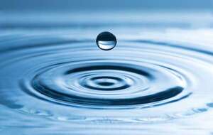 ¿Existen organismos que pueden vivir sin agua en la tierra o el espacio? - Ciencia - ABC Color