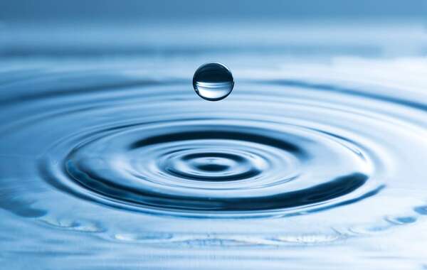 ¿Existen organismos que pueden vivir sin agua en la tierra o el espacio? - Ciencia - ABC Color