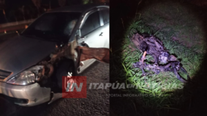 MOTOCICLISTA RESULTÓ GRAVEMENTE HERIDO TRAS COLISIÓN EN PIRAPÓ
