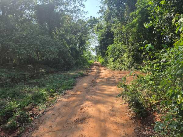 Paraguay celebra el Día del Camino destacando su papel clave en el desarrollo nacional - Concepción al Día