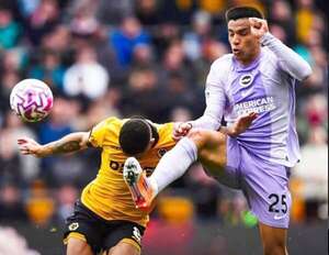 El Wolves no puede con el Brighton de Diego Gómez - Fútbol - ABC Color