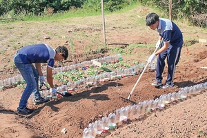 Jornada nacional promueve educación ambiental y sostenibilidad
