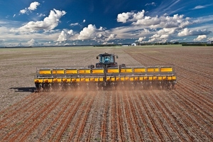 Soja en Alto Paraná: avance firme y altas expectativas pese a la incertidumbre en los precios