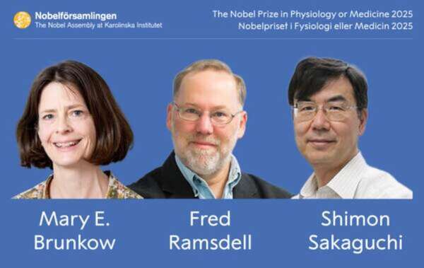 Descubrimiento clave en inmunología: Premio Nobel para tres científicos - Ciencia - ABC Color