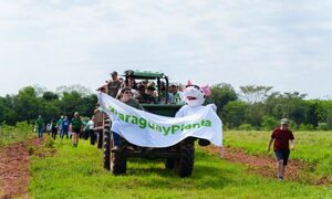 Paraguay Planta suma 700 nuevos árboles en la Reserva Guarapi