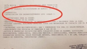 Sojeros niegan intoxicación por agroquímicos y piden intervención de la SENAD