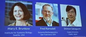 Nobel de Medicina 2025 a avances sobre el sistema inmune - ADN Digital