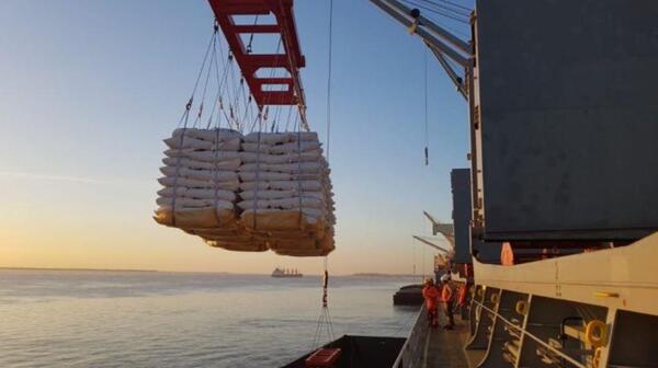 Exportaciones por ventanilla única llegan los USD 530 millones