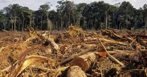La Nación / Corte debe destrabar proceso penal de acusados por mega deforestación en el Chaco