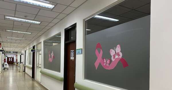 La Nación / IPS destaca avances y esperanza en pacientes con cáncer de mama