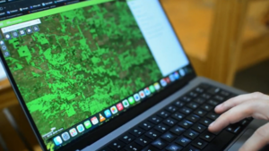 Mapas satelitales, datos abiertos y gestión digital: así se moderniza la gestión forestal en Paraguay