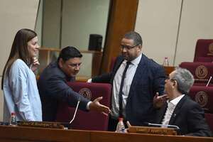 Octavo intento para liquidar ley de “datos personales” en Diputados - Política - ABC Color