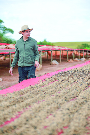 Café Quinto: marca paraguaya conquista mercados internacionales
