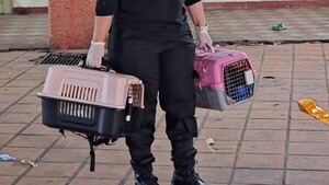 Michis del Buen Pastor también fueron trasladados con las reclusas