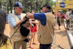 “AutoCAN 2025” en San Lorenzo: más de 300 mascotas fueron atendidas