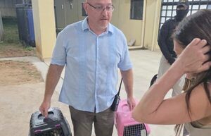Gatos del Buen Pastor también tienen “nuevo hogar”: Trasladan felinos con reclusas, en gesto de humanidad