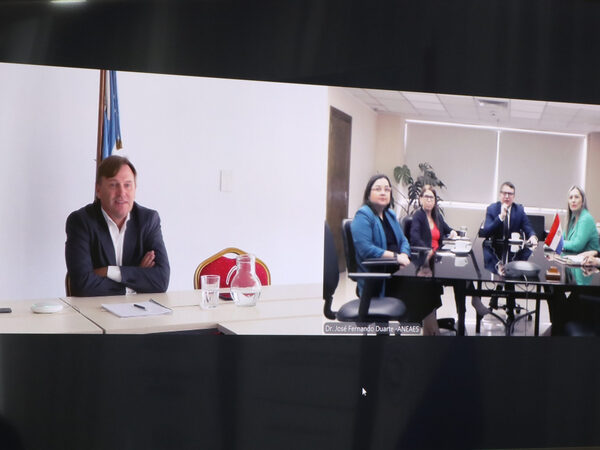 ANEAES y CONEAU fortalecen la cooperación regional en evaluación universitaria - El Trueno