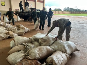 Dinámica narco en zona campesina de Canindeyú: Cae una tonelada de macoña, pero no se reportan detenidos – La Mira Digital