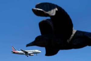Qué se sabe sobre el regreso del vuelo directo Miami - Asunción - Nacionales - ABC Color