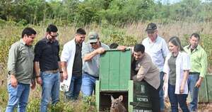 La Nación / Refugio Atinguy: animales silvestres nacidos en cautiverio vuelven a sus hábitats naturales