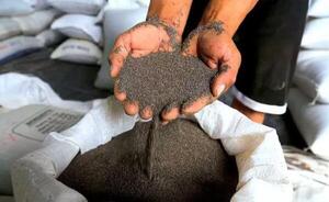 Exportaciones de chía y sésamo reflejan crecimiento sostenido en los últimos años
