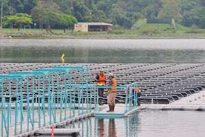 Itaipú: añaden pasarela a la planta solar flotante - Economía - ABC Color