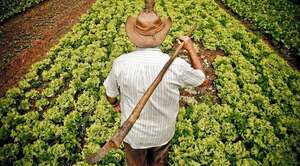 Información climática permitirá a  productores una mejor gestión de cultivos - ABC Rural - ABC Color