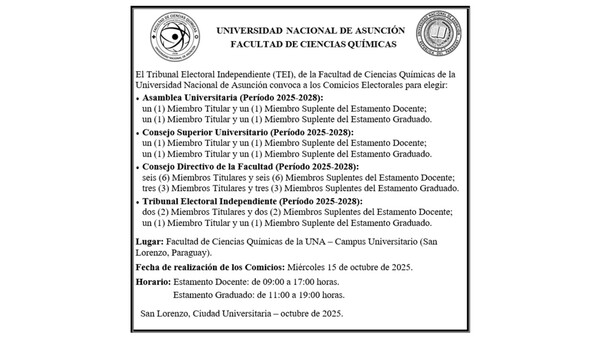 El Tribunal Electoral Independiente convoca a los Comicios Electorales