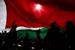 Líder Amarilla pide coherencia del Gobierno paraguayo en el reconocimiento a Palestina - Política - ABC Color