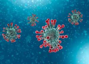 Científicos crean nanoanillos que superan anticuerpos en la lucha contra el SARS-CoV-2 - Ciencia - ABC Color
