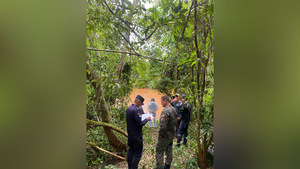 Popular / Hallan sin vida a hombre reportado como desaparecido en Itapúa