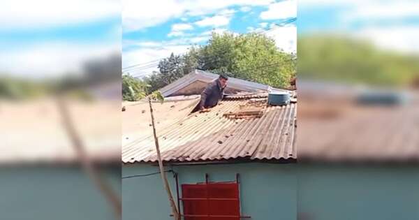Diario HOY | Ladrones subieron al techo tras intentar robar una casa, uno logró huir esposado