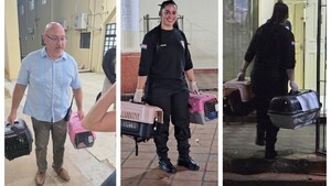 Michis del Buenpa también comienzan una nueva vida