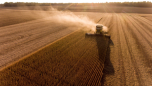 Gremio de biocombustibles pide cambios en la ley para aprovechar excedentes agrícolas - ABC Rural - ABC Color