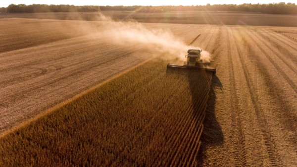 Gremio de biocombustibles pide cambios en la ley para aprovechar excedentes agrícolas - ABC Rural - ABC Color