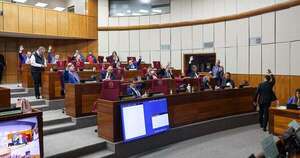 La Nación / Senado sancionó ley que regula embargos y descuentos salariales de servidores públicos