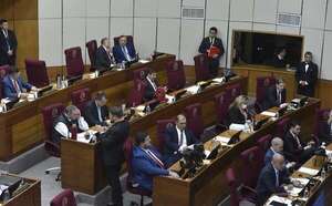 Senado apoya represión a Gen Z y rechaza interpelar a Enrique Riera  - Política - ABC Color