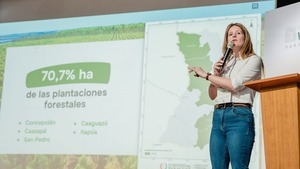 Sector forestal paraguayo exportó más de 187.000 toneladas en los últimos dos años